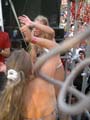 SP2003 Parade 60
