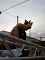 SP2003 Parade 81