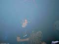 PICT0056